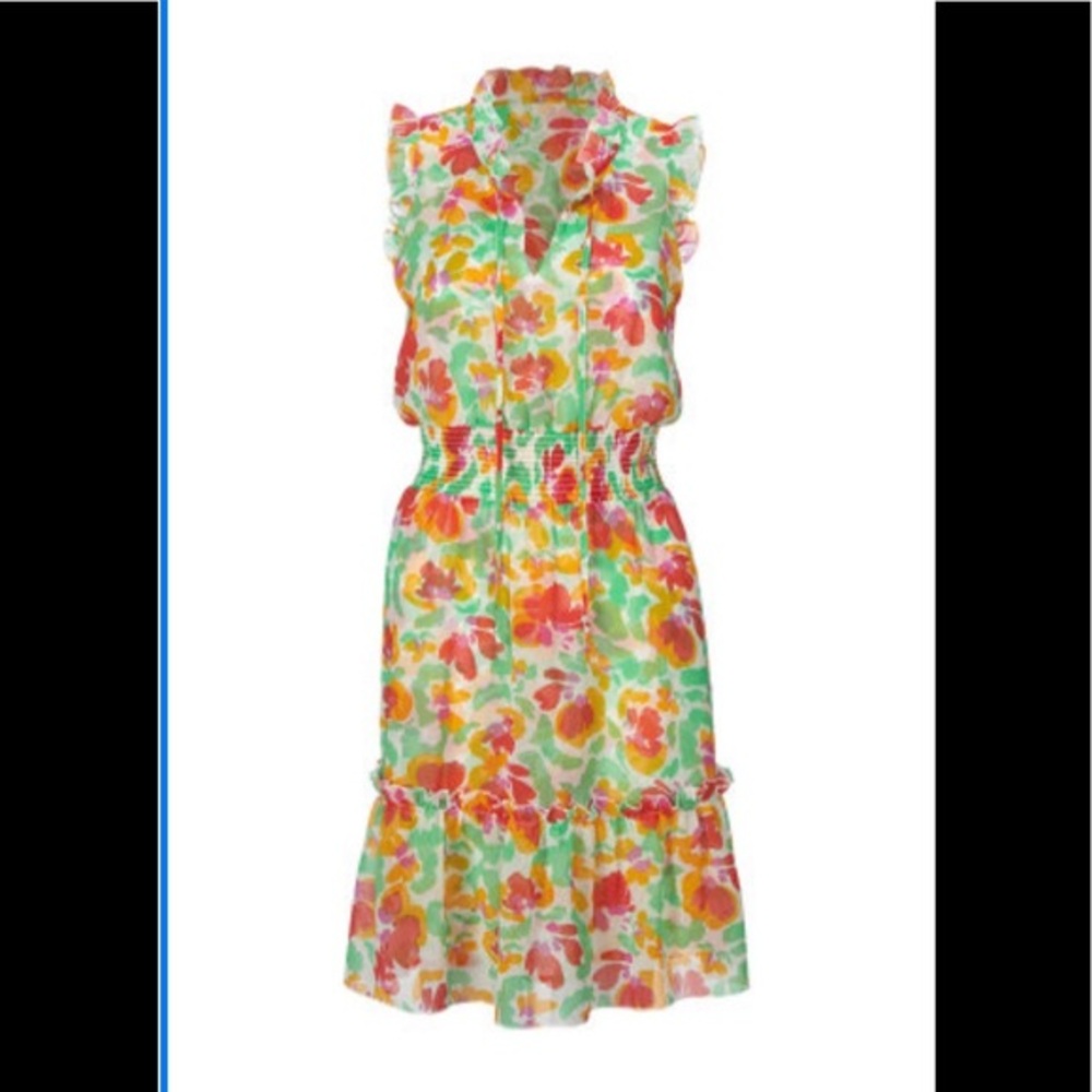 CAbi Floral Multicolor Dress